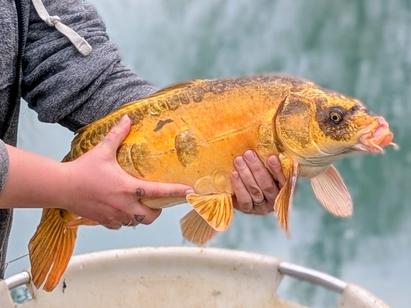 /IMG_3887(1) edt.JPG